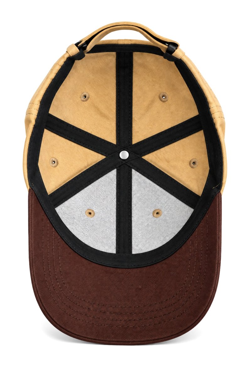 Brown/Beige Legacy Cap